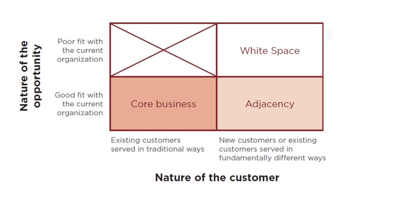 business-model-white-space